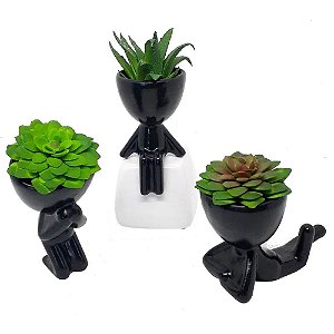 Vasinho Robert Para Suculentas E Cacto