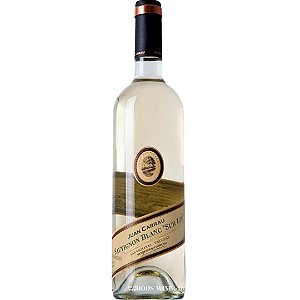 JUAN CARRAU SAUVIGNON SUR LIE