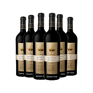 SEPTIMA GRAN RESERVA MALBEC 10 BARRICAS 2020 (6G)