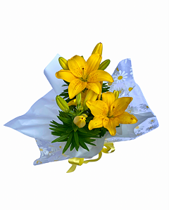 Lírio amarelo