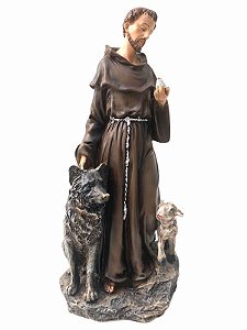 Imagem São Francisco com Lobo Resina Importada 25cm