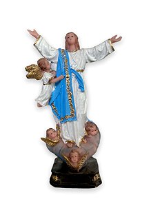 Imagem Nossa Senhora Assunção Resina Nobre 20cm