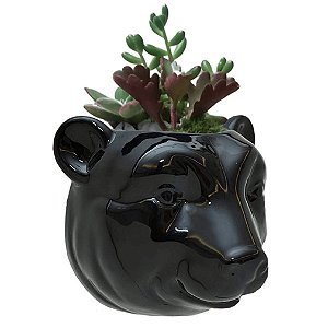 Vaso de Parede Cachepot Urso Preto Cerâmica