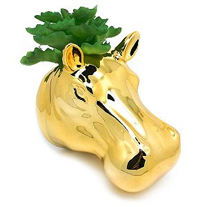 Vaso de Parede Cachepot Hipopótamo Dourado Cerâmica