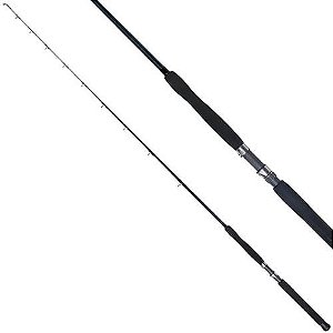 Vara Carretilha Shimano Tallus 23TLC66XHBBLSA 6'6 65-200lb