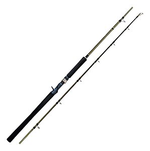 Vara Carretilha Shimano Solara SLSC60XXH 6'0 30-80lb