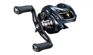 Carretilha Daiwa Steez A II TW 1000XH/L