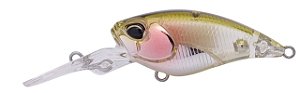 Isca Artificial Duo International Realis Cranking Shad 40MR
