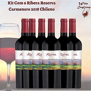Kit Com 6 Ribera Reserva Carmenere 2018 Vinho Chileno