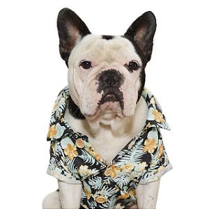 CAMISA PARA CACHORROS "Bali"