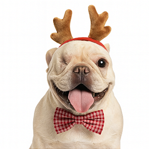 Tiara rena + gravata/laço de Natal