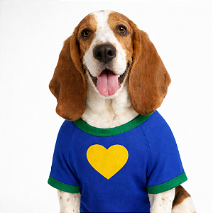 PRÉ- VENDA Camiseta para cachorros "Hexa"