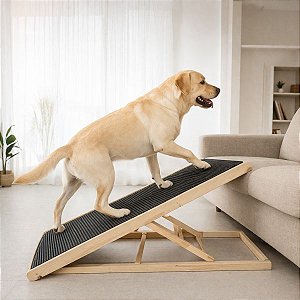 Rampa Pró-Coluna XG altura até 70cm