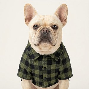 Camisa de botão para cachorros - Nirvana