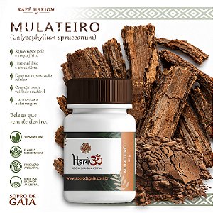 Rapé Mulateiro