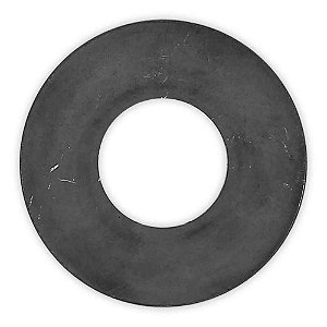 Arruela Satélite Diferencial RS23160 Cargo/VW