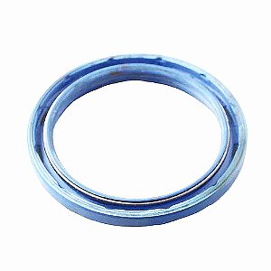 Retentor Roda Dianteiro Esquerdo Verde Apollo Log