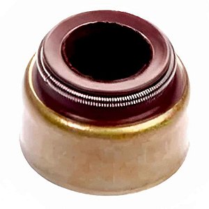 Retentor HAST Válvula MWM D229 X10