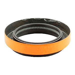 Retentor Diferencial Traseiro F4000 75/ D20/40/F1000 93/BRA 00436BAGE