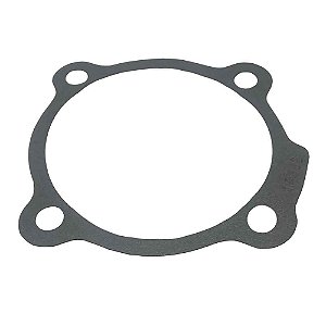 Junta Cilindro Reduzida Câmbio RT7608LL Cargo/VW TJG301235E