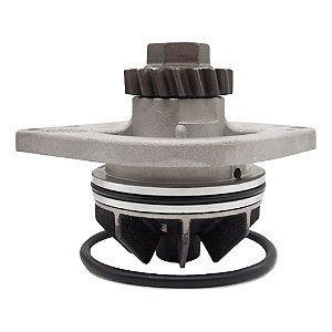 Bomba D'Água F1000/7100/8140 MWM 4.10 4/6