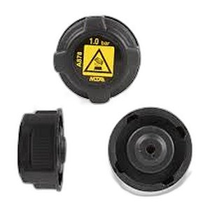 Tampa Reservatório Radiador Ford 1/4 92/96