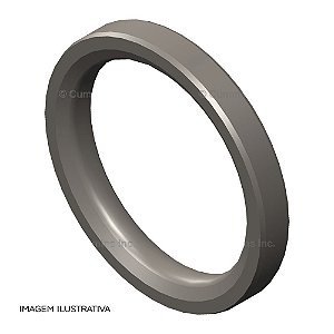 Assento Válvula Admissão Cummins ISB 4/6 Cilindros Sob Medida 0