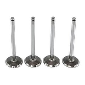 Válvula Escape Motor 1GD-FTV Hilux 2.8 16V 2015