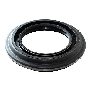 Retentor Pinhão Diferencial F4000/814/815 98/