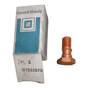 Parafuso Flex Freio Dianteiro 10/20 /92 Oco