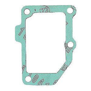 Junta Coletor Admissão Cummins ISC 3967891