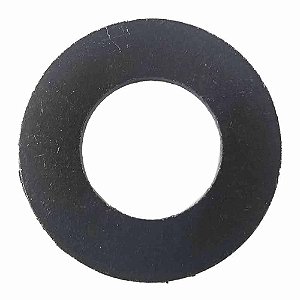 Arruela Pinhão Diferencial F1000 4M