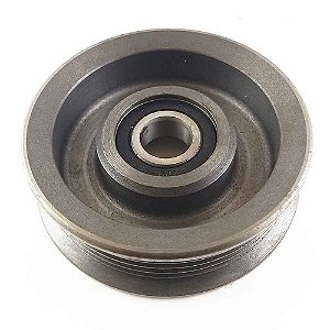 Polia Estática da Correia Alternadora Silverado 1997 / MWM