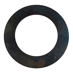 Arruela Planetária F2000 80/85 Dana 60