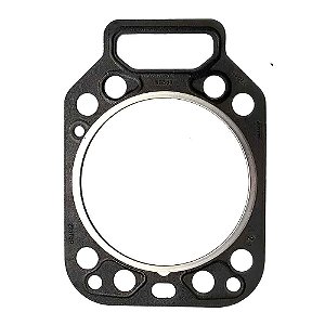 Junta de Câmbio MWM D-225