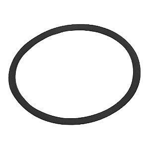 Anel de Vedações da Bomba D'Água S10 MWM 4 Cilindros