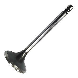 Válvula Escape MWM Sprint 4/6 Cilindros S10/Silverado