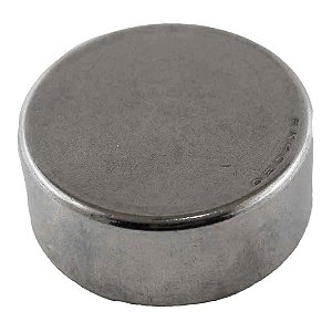 Rolamento Agulha Carcaça Câmbio S10/F1000 CL2205