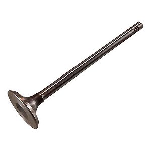 Válvula de Admissão Palio Fire 1.0/1.3 16V