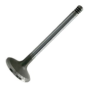 Válvula de Admissão D225/226/229 4/6 Cilindros Aspirado