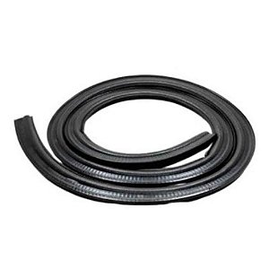 Borracha Teto Solar F1000 1992 Par