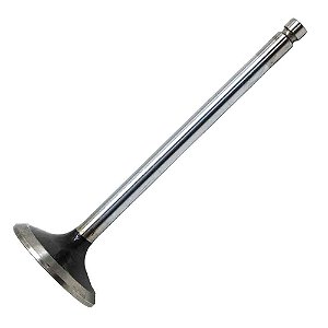 Válvula Escape Cummins Série B 4/6 Cilindros 3.9/5.9 TDS VS4306 5405501