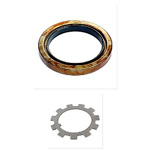 Kit Retentor Roda Traseiro Trava Aranha Cubo VW F4000 Cargo e Outros