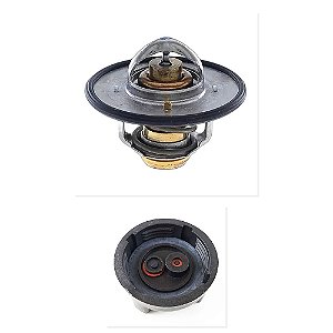 Kit Servo Embreagem Fluido Freio Mercedes 2006 3762 e Outros