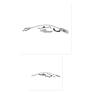 Kit Cuicao Catraca Freio VW Cargo 814 e Outros