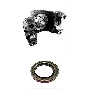 Kit Mangueira Abraçadeira Inter Cargo 1722 2422 2428 e Outros