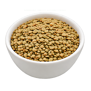 Lentilha