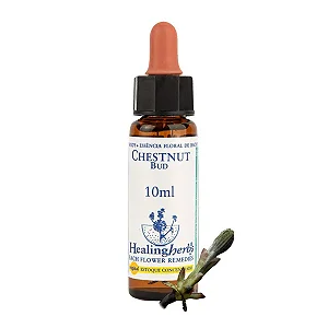 Chestnut Bud – Floral de Bach Healingherbs 10ml