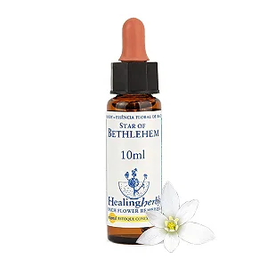 Star of Bethlehem- Floral de Bach Healingherbs 10ml