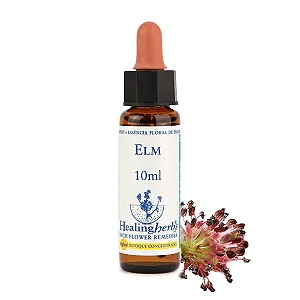 Elm – Floral de Bach Healingherbs 10ml